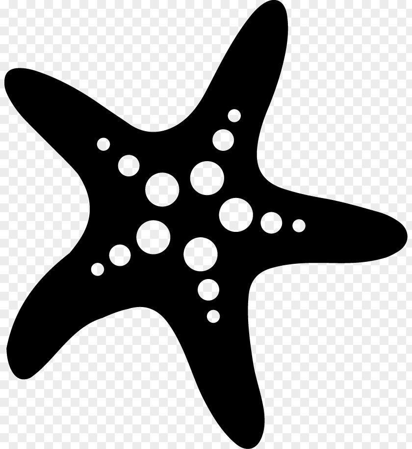 Model Movement Starfish Health, Fitness And Wellness Physical Echinoderm PNG