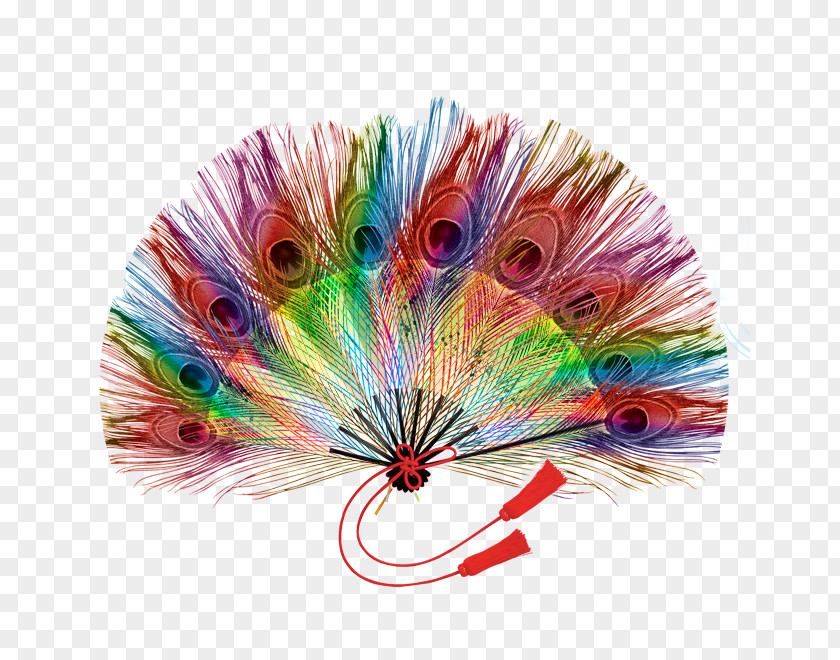 Peacock Feather Fan Son Peafowl PNG