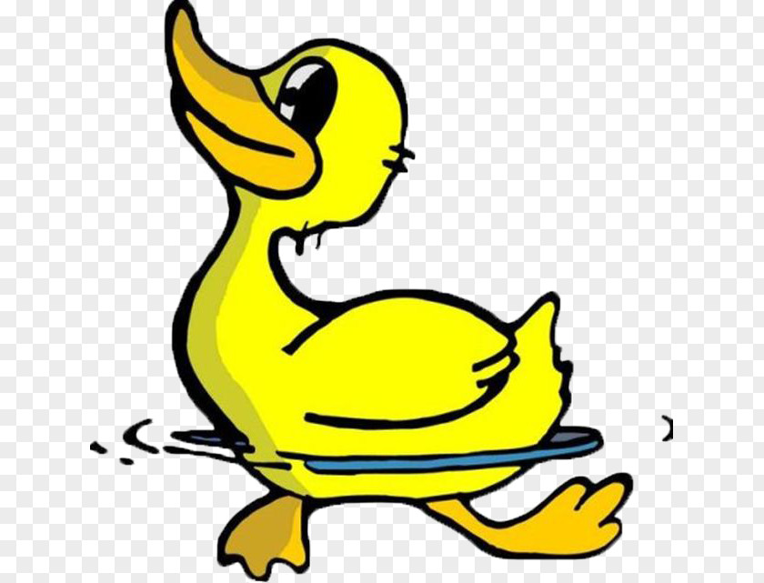 Swimming Duck Cartoon Avatar PNG