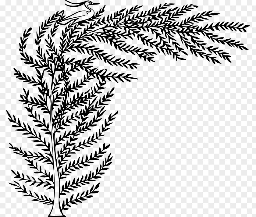 Tree Drawing Clip Art PNG