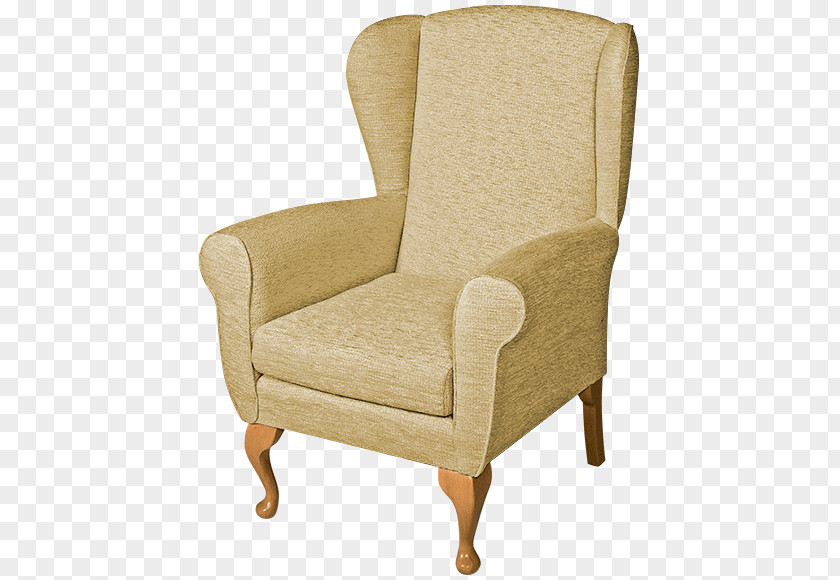 Chair Club Wing Couch Slipcover PNG