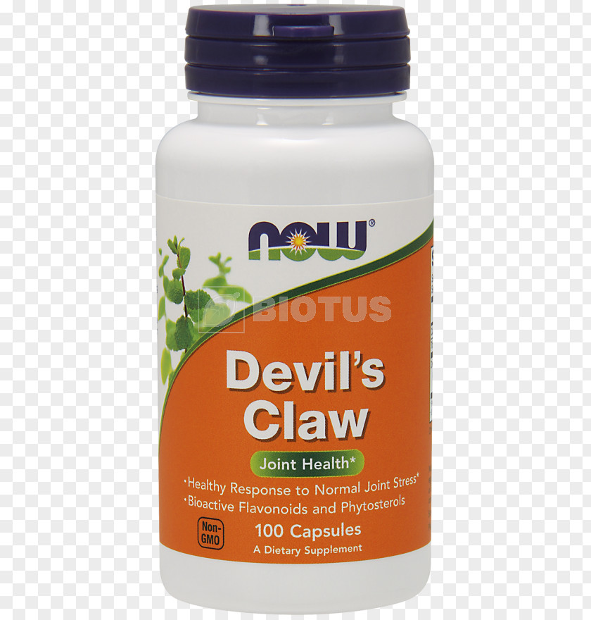 Devil Claws Dietary Supplement Cat's Claw NOW Foods Devil's PNG