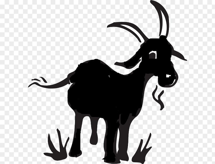 Goat Farm Black Bengal Boer Drawing Cartoon Clip Art PNG