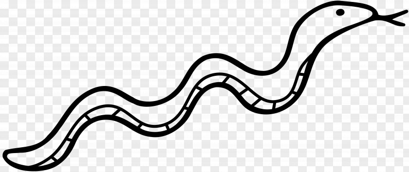 Hanging Board Snake Black And White Drawing Clip Art PNG
