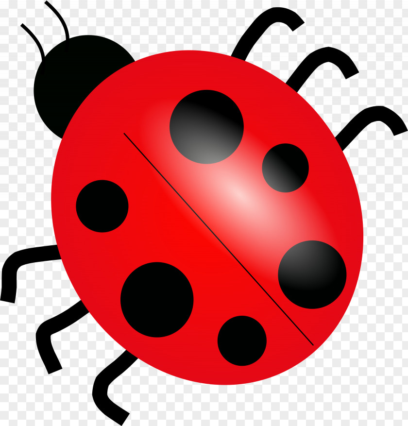 Ladybug Free Content Ladybird Clip Art PNG