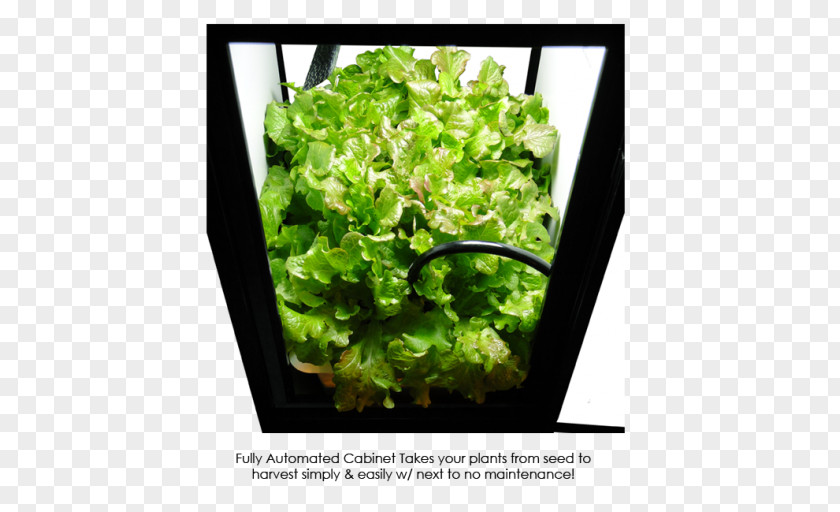 Light Grow Box Hydroponics Growroom Light-emitting Diode PNG