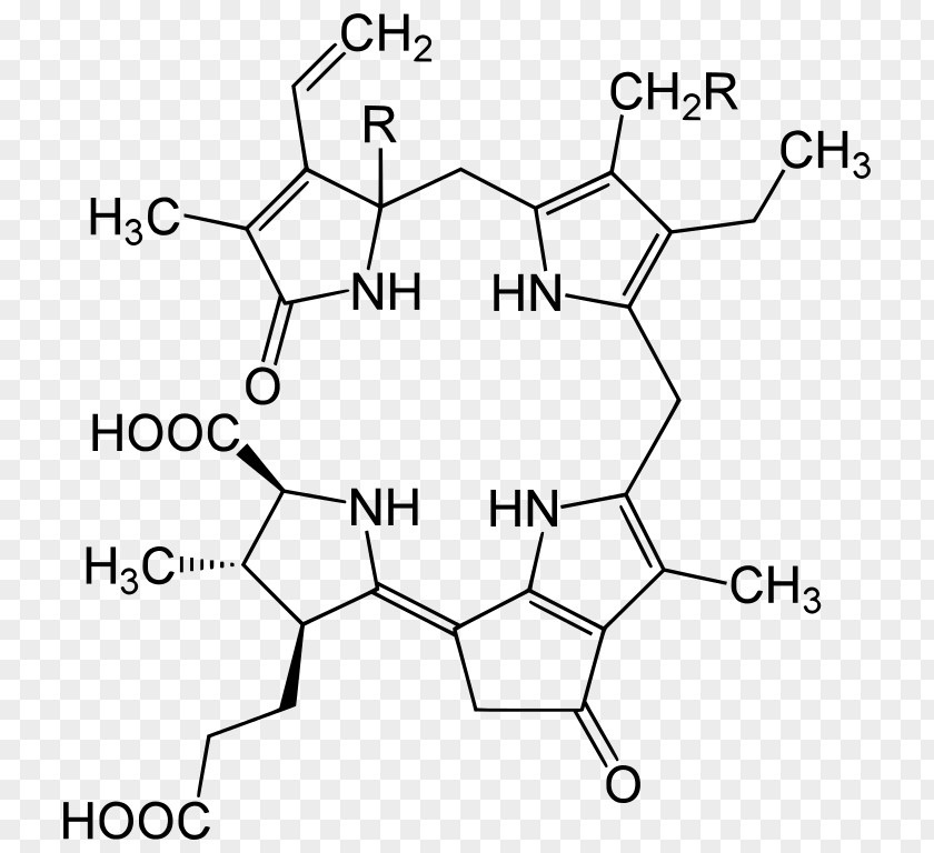 Luciferin Dinoflagellates Tetrapyrrole Plastid Dinoflagellate Luciferase PNG