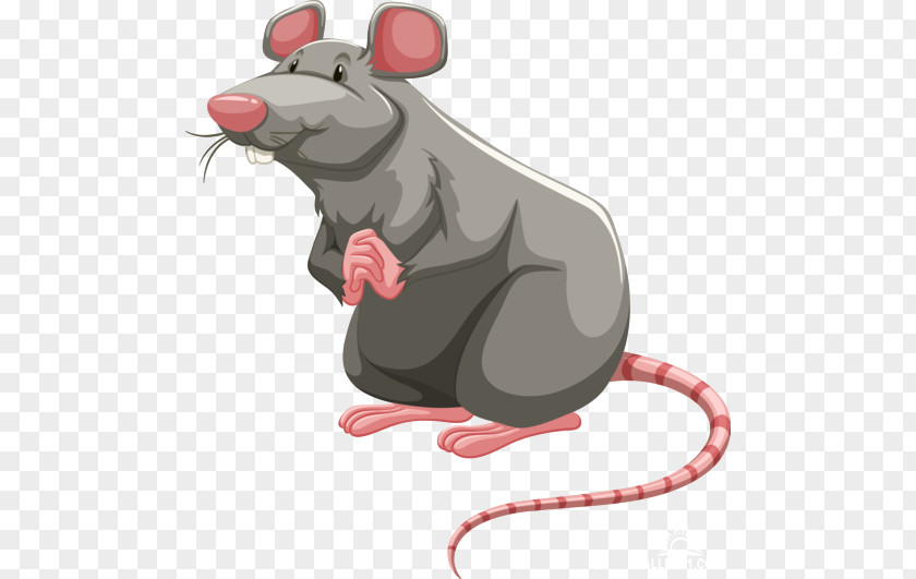Rat Vector Brown Graphics Royalty-free Illustration Laboratory PNG