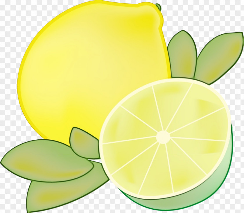 Seedless Fruit Meyer Lemon Watercolor Leaf PNG