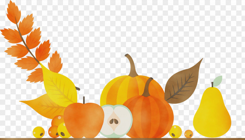 Thanksgiving Pumpkin PNG