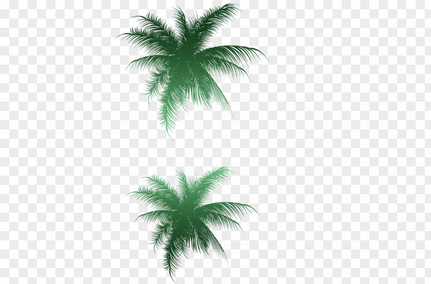 Tree Palm Trees Image Vector Graphics Clip Art PNG