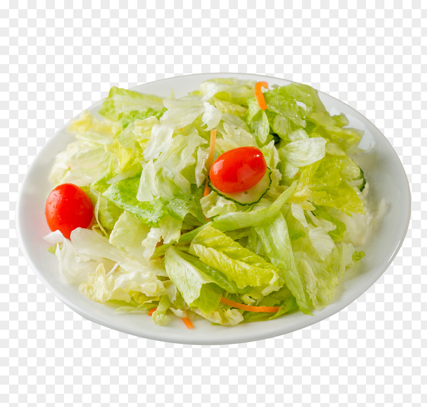 Vegetable Salad Israeli Caesar PNG