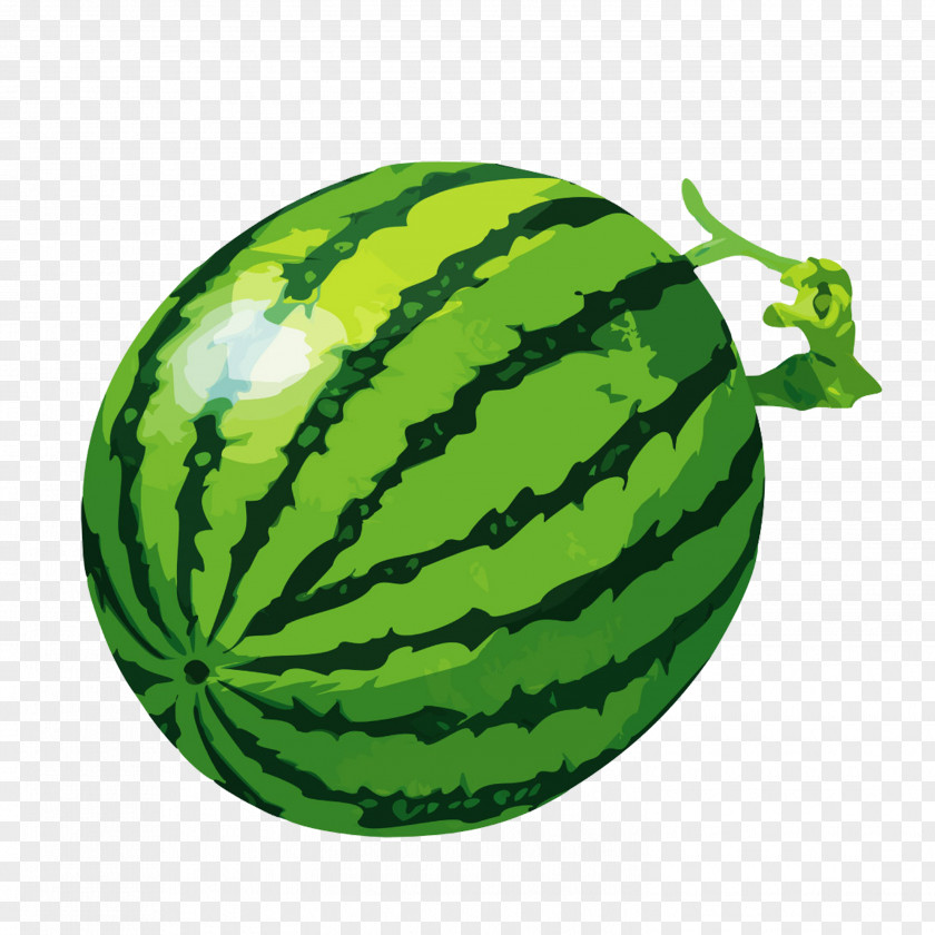 Watermelon Sticker Barbecue Grill Eating Food PNG