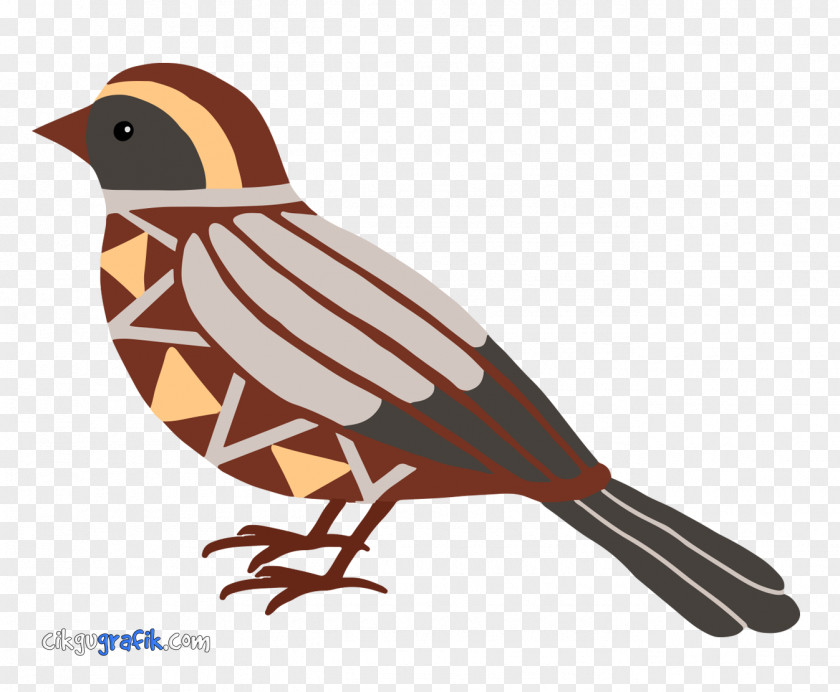 Birds Bird Geometry Pattern PNG