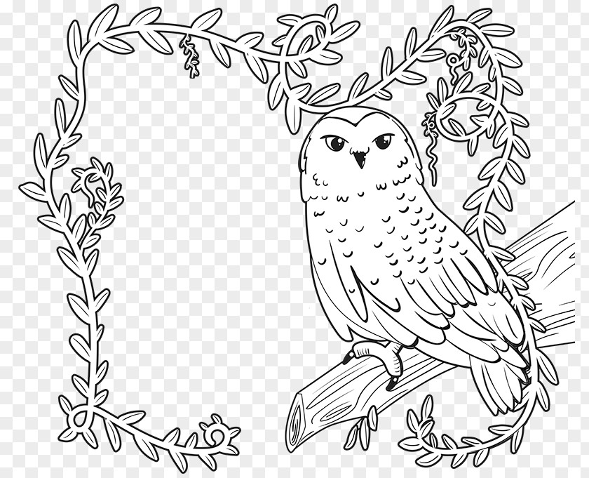 Book The Enchanted Forest Coloring Drawing Image PNG