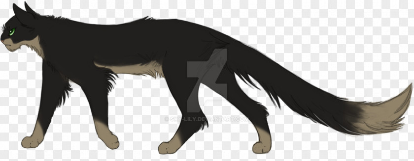 Dog Whiskers Cat Character Mammal PNG