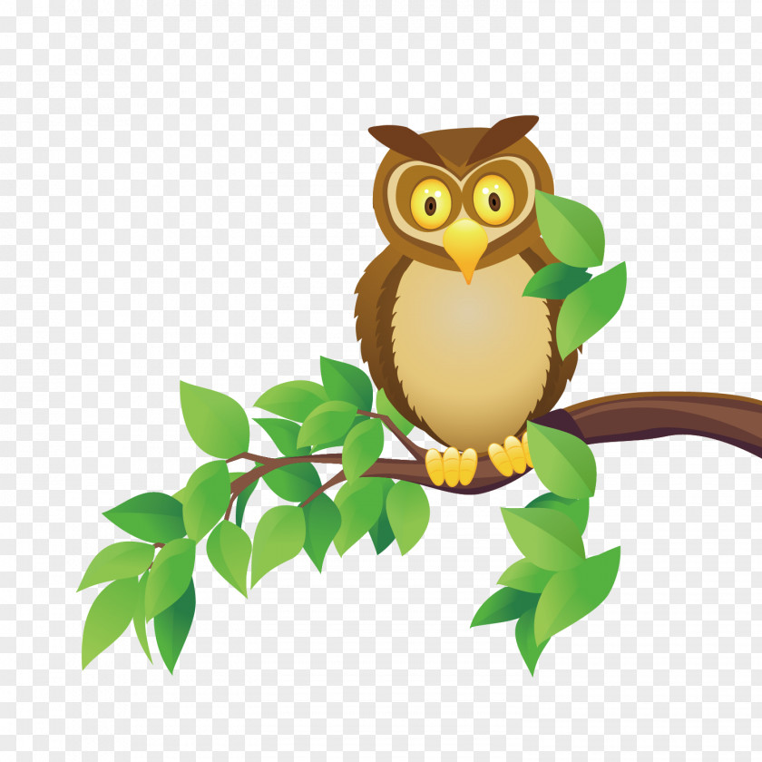 Vector Cartoon Owl PNG