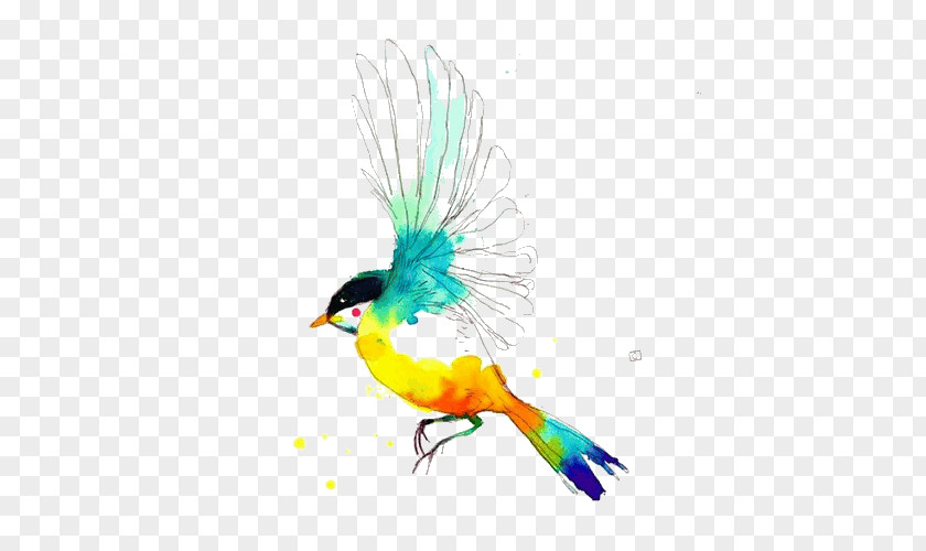 Watercolour Birds Drawing Watercolor Painting PNG