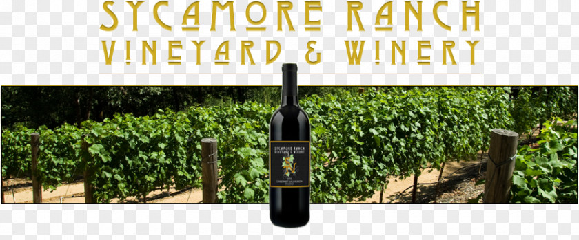 Wine Sycamore Ranch Vineyard & Winery Common Grape Vine Winemaker PNG