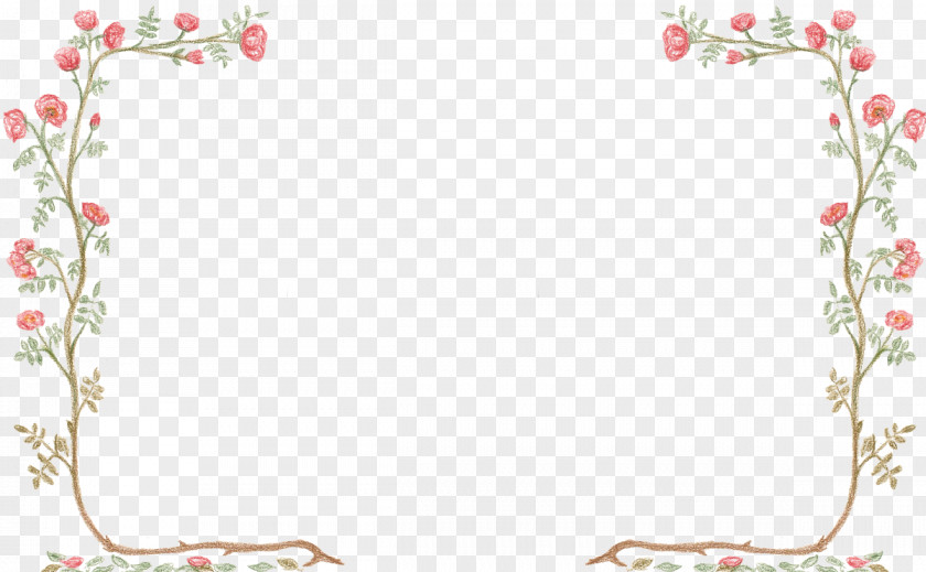 Borders Flower Color PNG