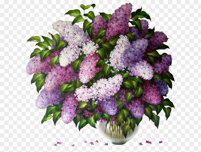 Common Lilac Garden Flower Clip Art PNG