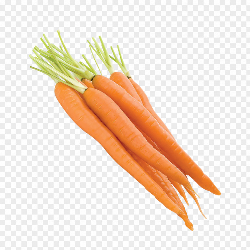 Carrot Baby Vegetable PNG