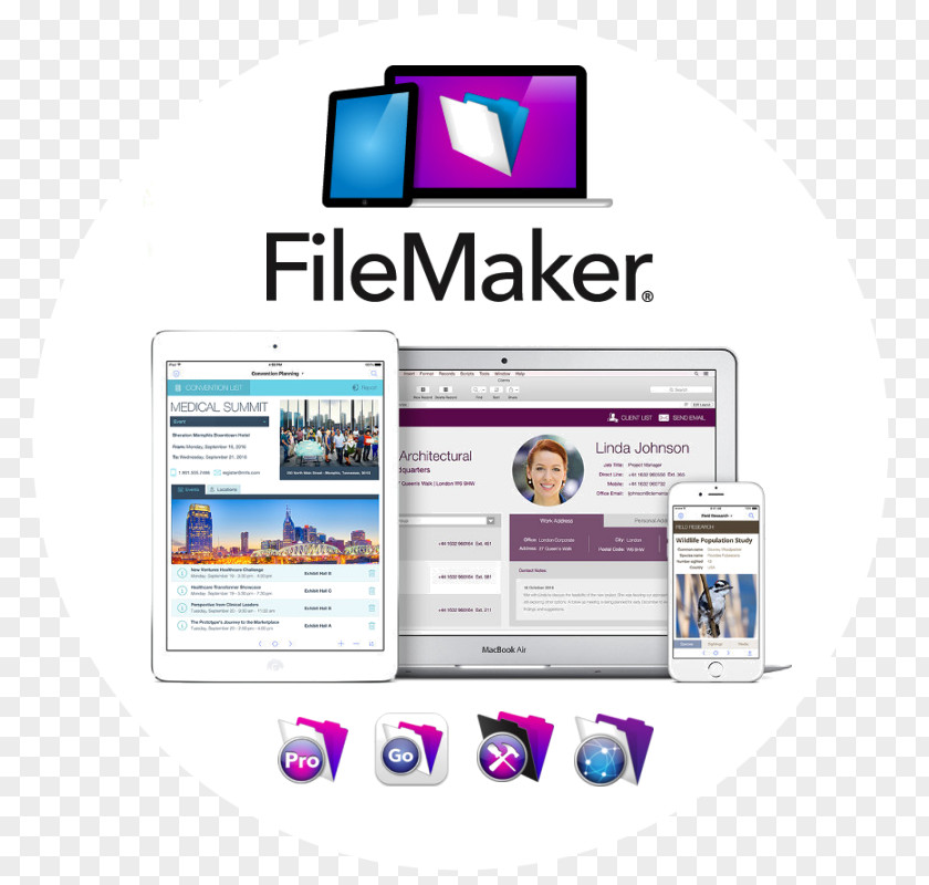 Database Development FileMaker Pro 15 Advanced MacOS Apple License PNG