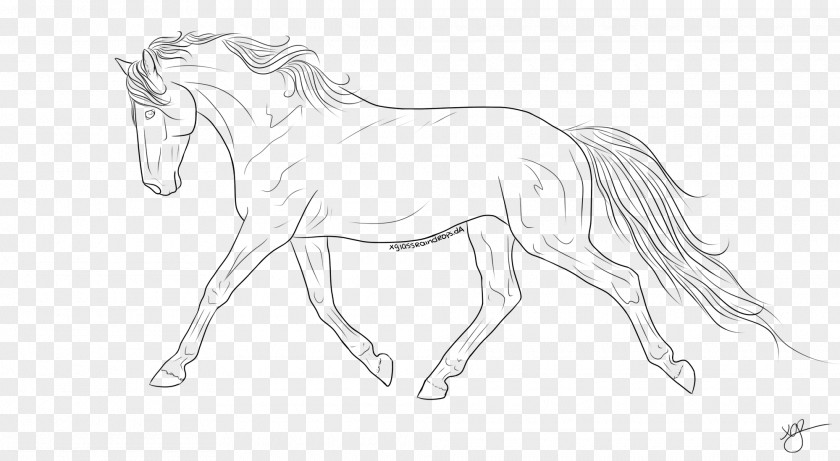 Horse Line Art Pony Drawing Sketch PNG