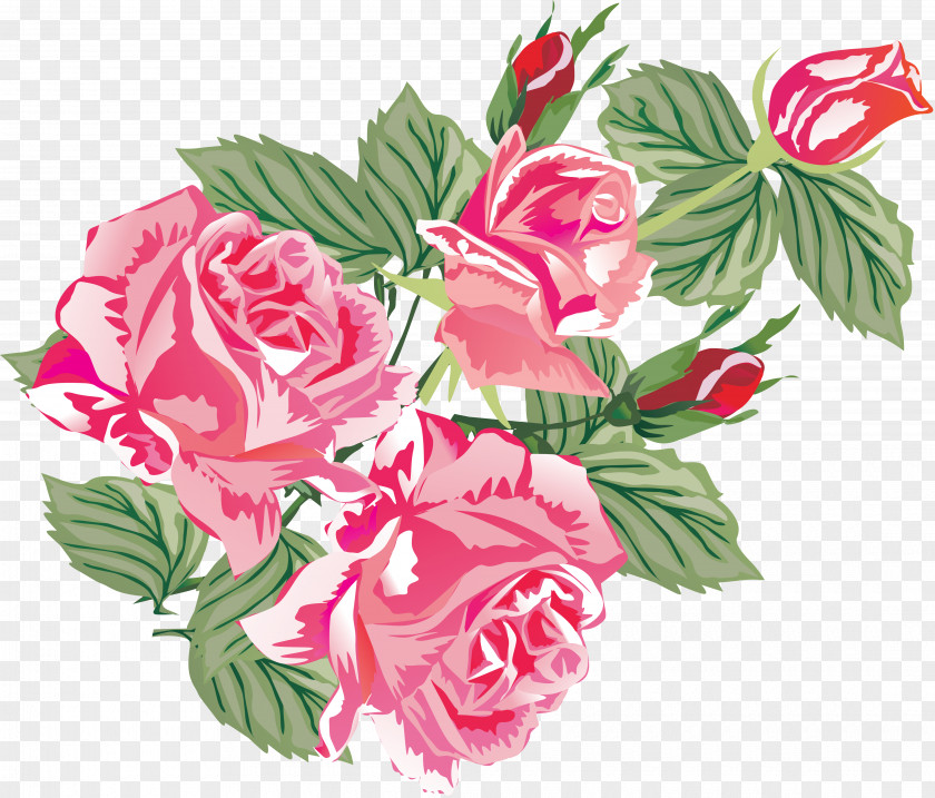 Peony Rosa Chinensis Multiflora Moutan Garden Roses PNG