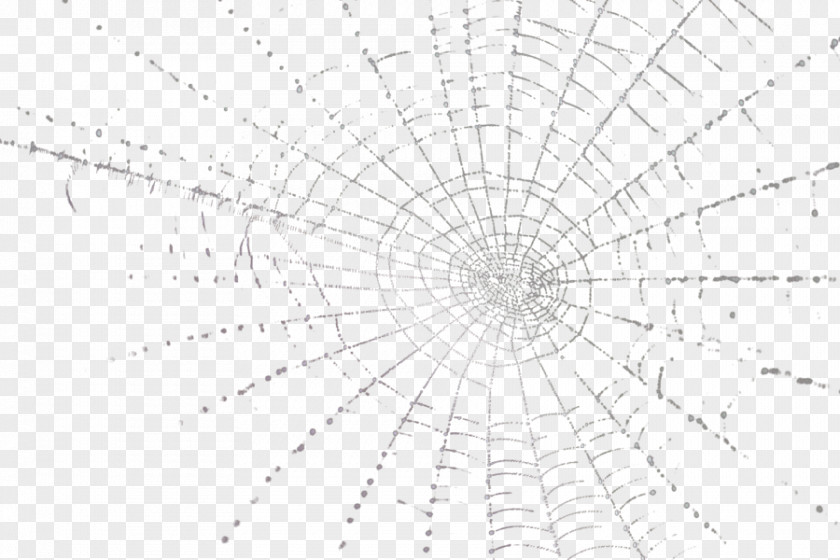 Spider Web Drawing Monochrome Photography Black And White PNG