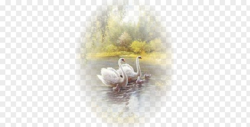 Bird Mute Swan Cygnini Art Painting PNG