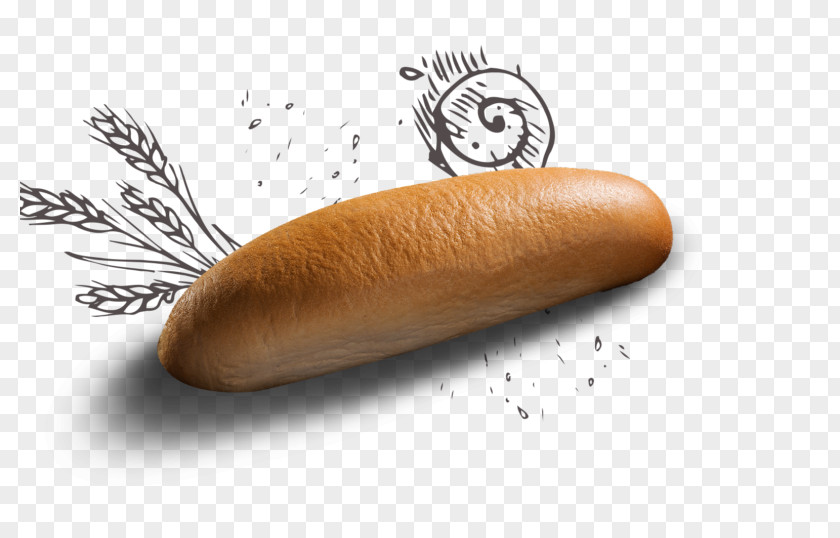 Buke Bockwurst Knackwurst Cervelat Frankfurter Würstchen Vienna Sausage PNG