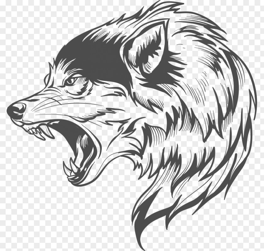 Gray Wolf Drawing Clip Art PNG