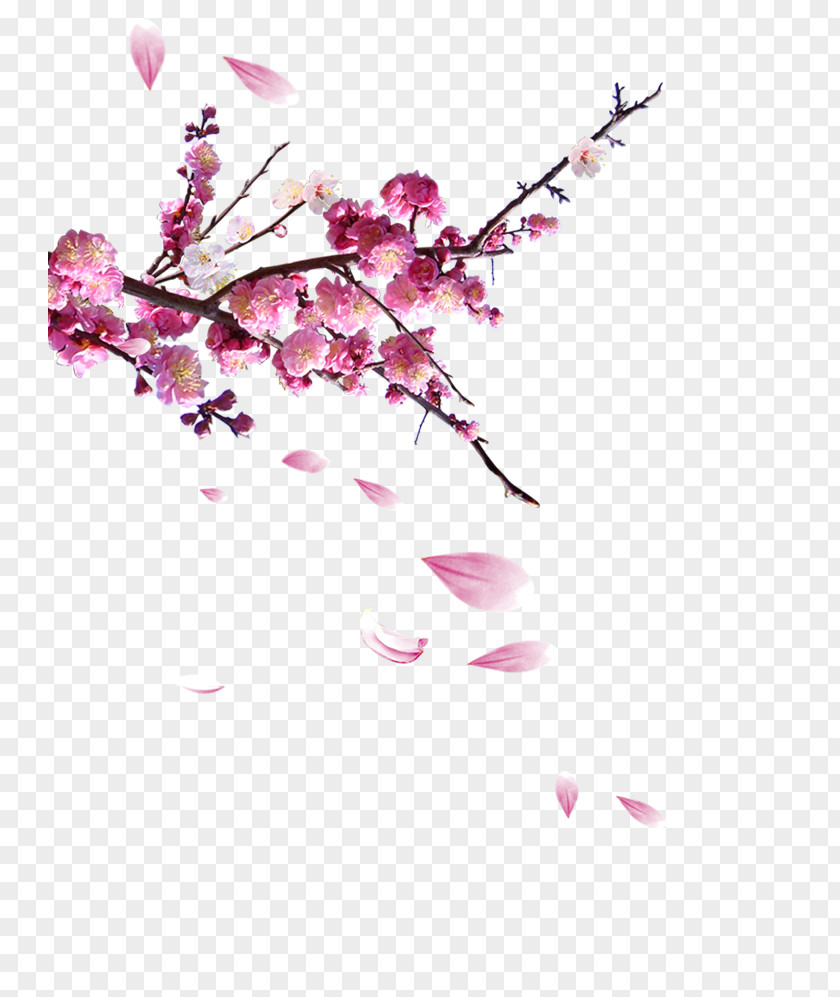 Plum Flower Chinoiserie Shan Shui Poster Fukei PNG