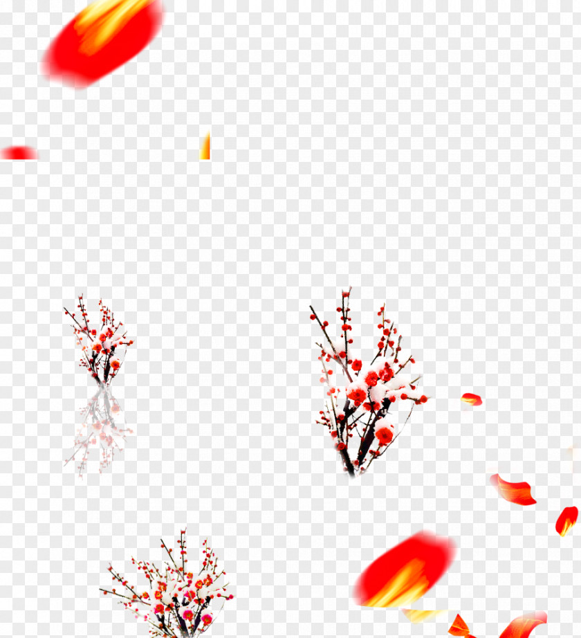 Winter Decoration Snow PNG