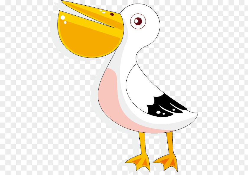 Cute Cartoon Duck Pelican Illustration PNG