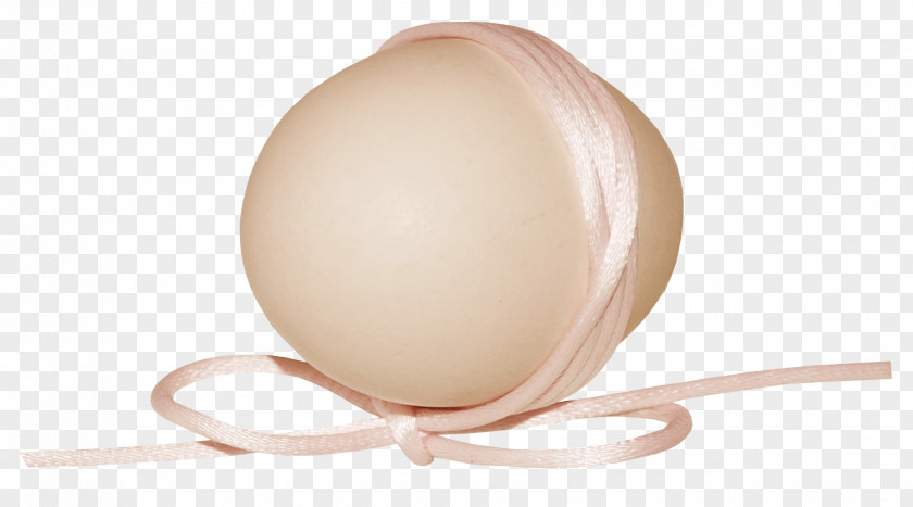 Egg Lighting PNG