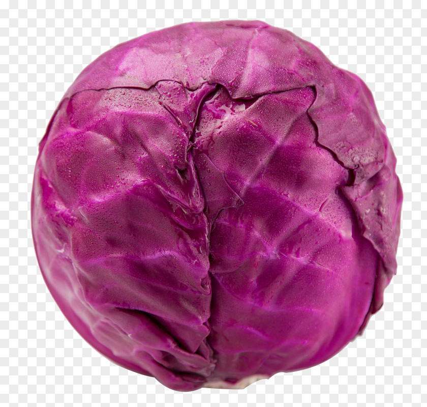 Green Purple Cabbage Red Broccoli Vegetable PNG