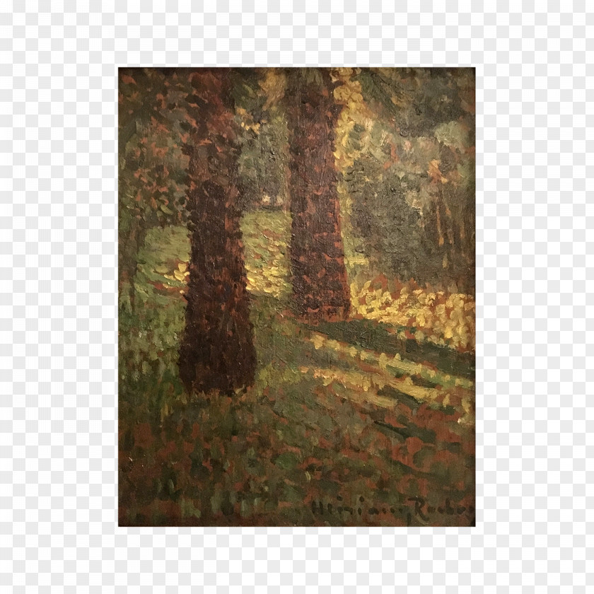Painting Temperate Coniferous Forest Biome Wood PNG
