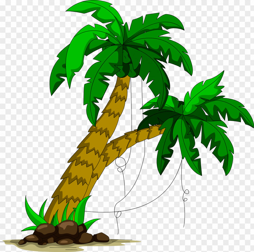 Palm Tree Arecaceae Child Calamus Clip Art PNG
