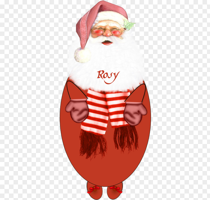 Santa Claus Christmas Ornament PNG