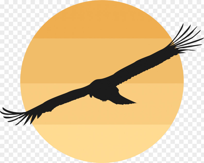 The Wild Goose In Setting Sun Bird Domestic Clip Art PNG