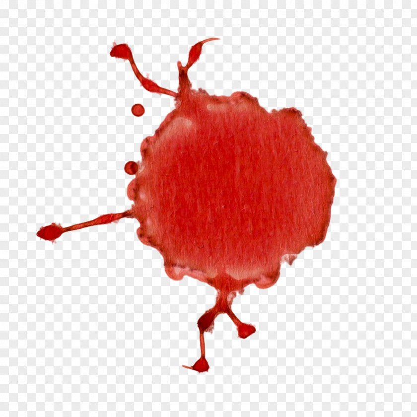 Blood Download 19 September Fruit Ninja PNG