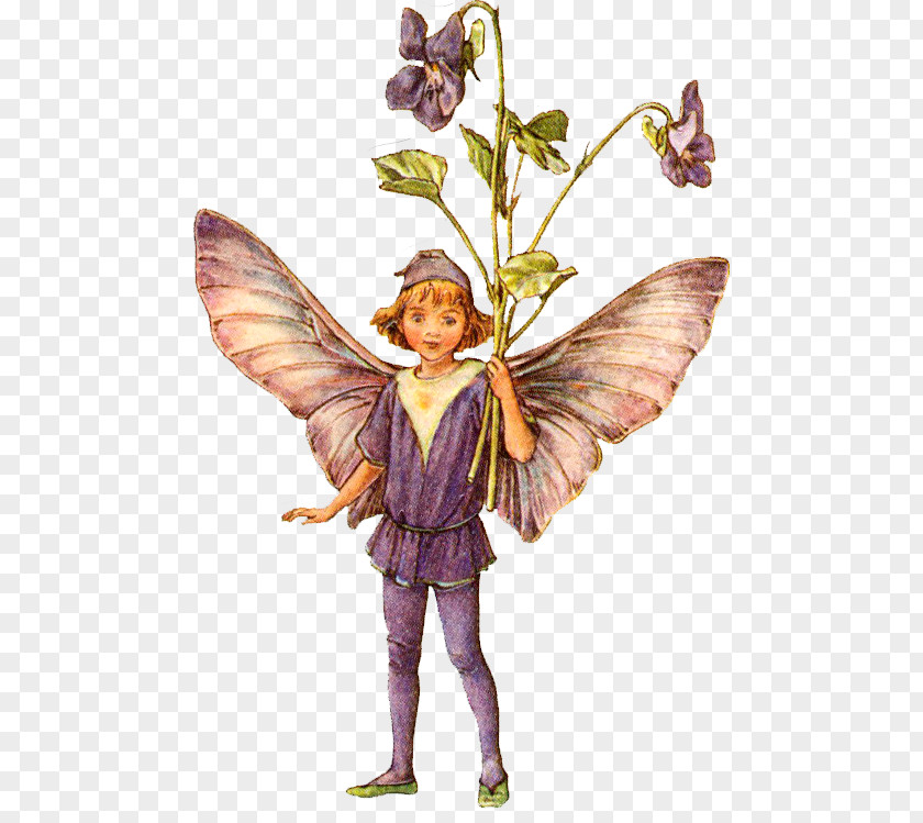 Fairy Flower Fairies Of The Spring Violet PNG