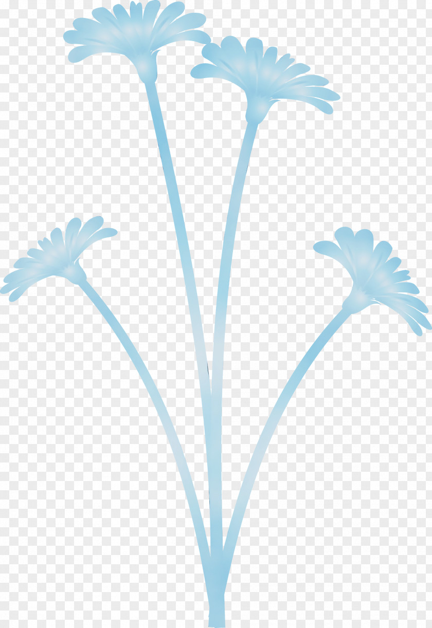 Flower Królowa Górna Plant Stem PNG