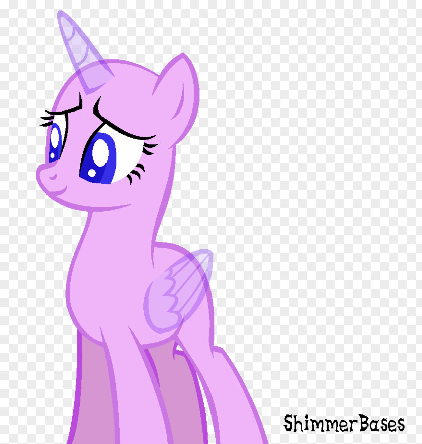 Horse Pony Rarity Whiskers Rainbow Dash PNG