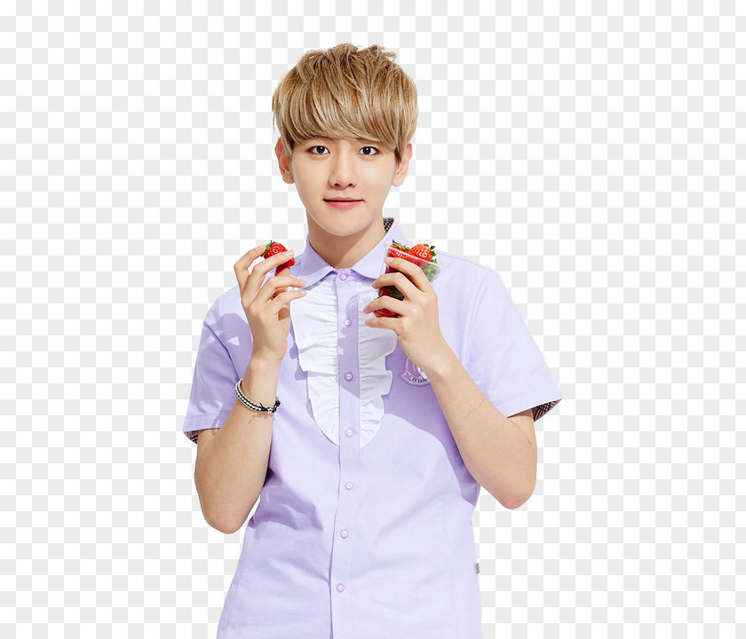 Lays EXO Ivy Club Corporation K-pop Musician PNG