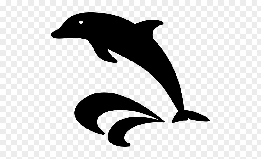 Nature Sea Animals Dolphin PNG