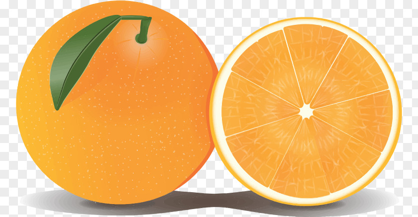 Orange Cliparts Grapefruit Lemon Clip Art PNG