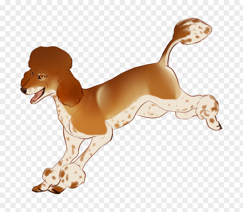 Puppy Dog Breed Italian Greyhound Beagle Companion PNG